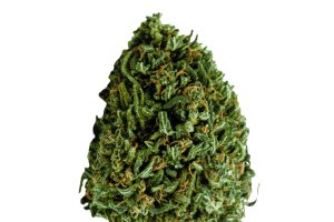 Mediprocan Lunaris 19/1 FL